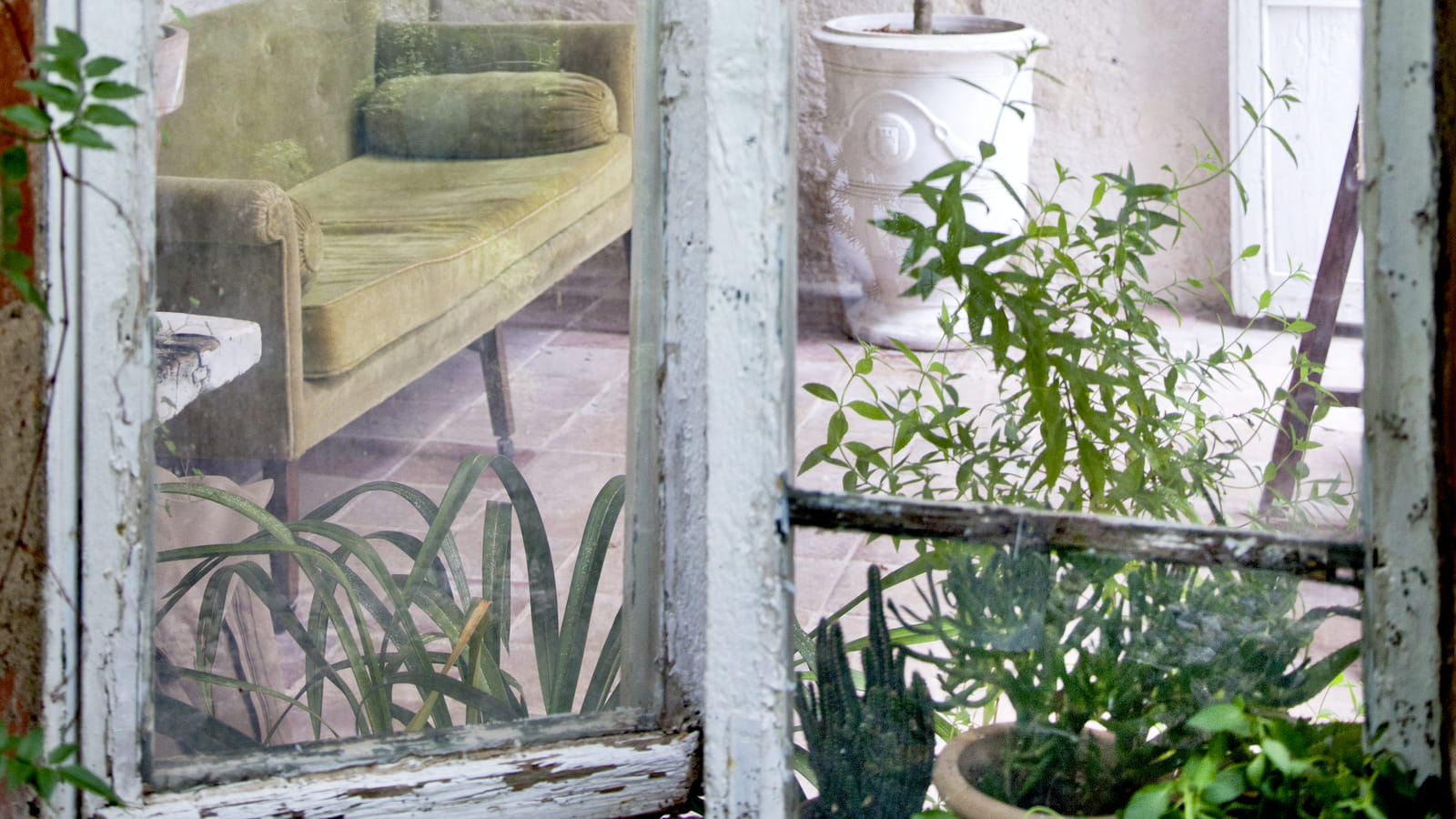 Jardin d'hiver