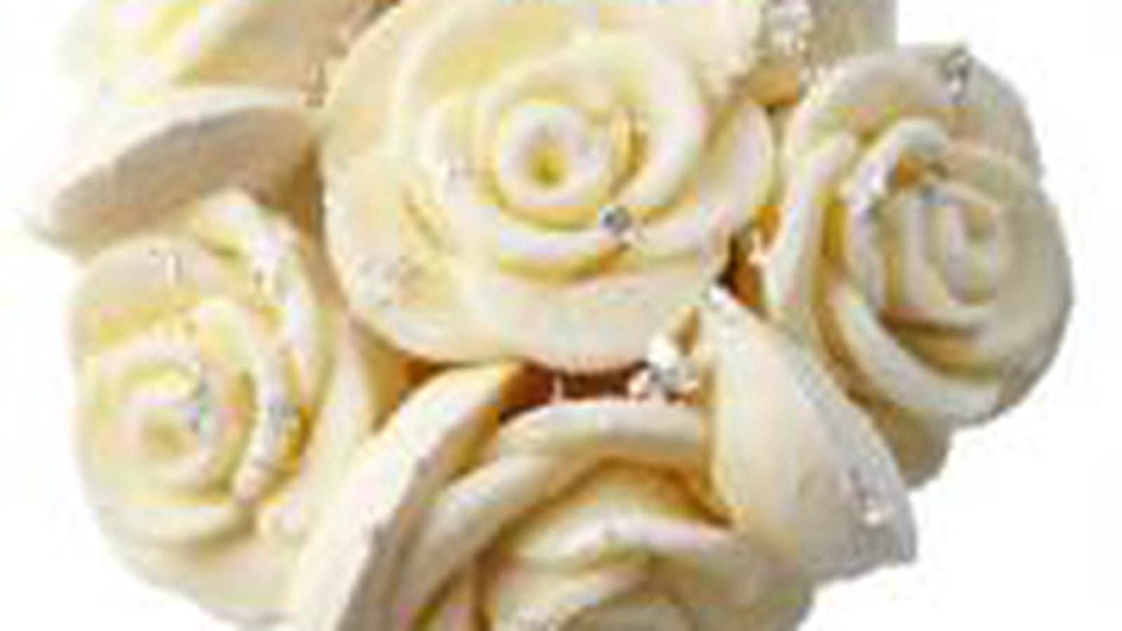 Glaces Stella di Natale Amorino 