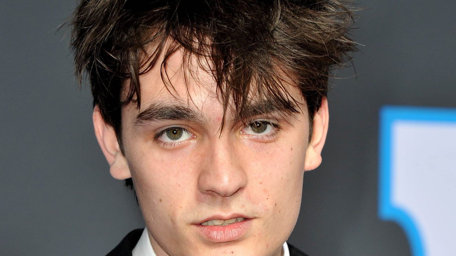 Alain-Fabien Delon