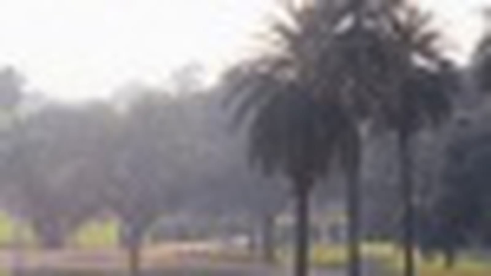 Delhi