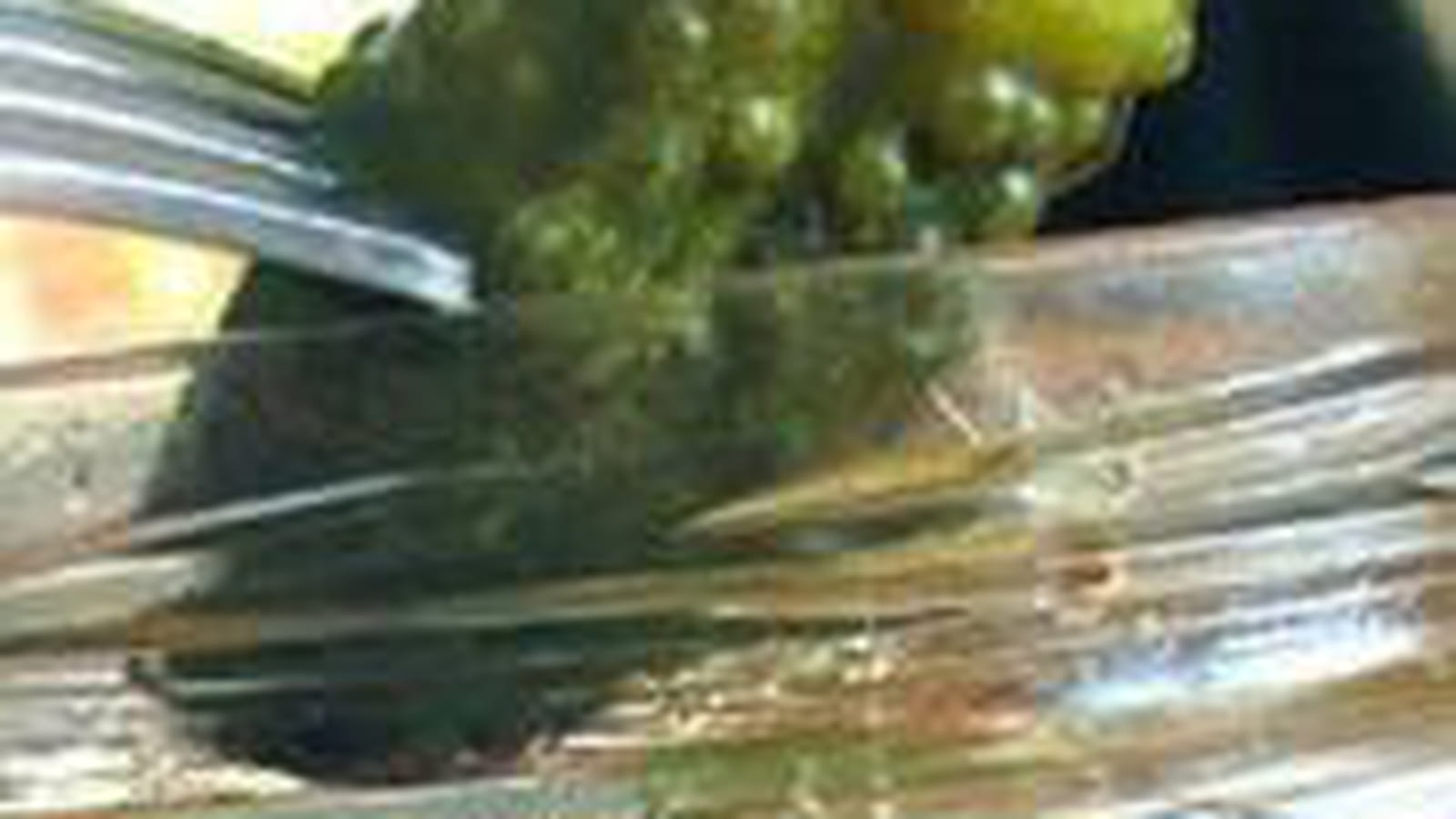 Cornichons aigre-doux