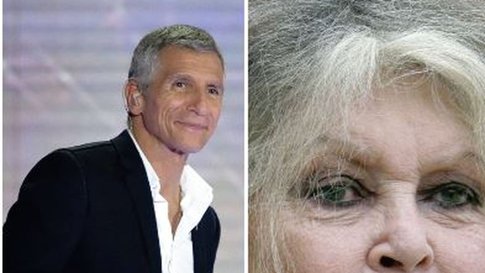 Nagui et Brigitte Bardot