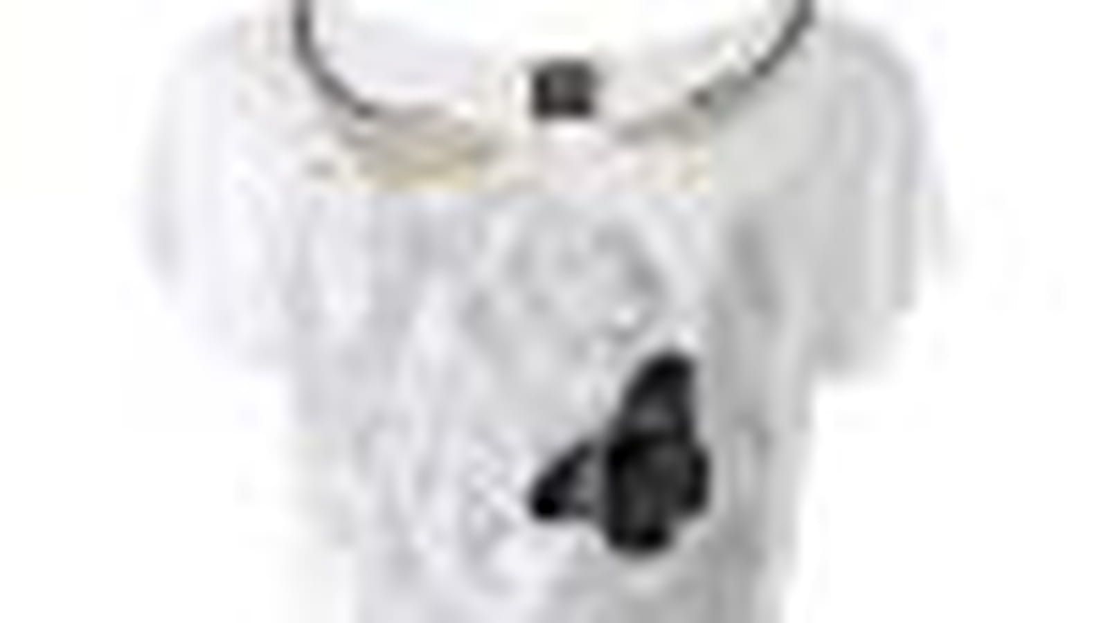 Le tee-shirt
