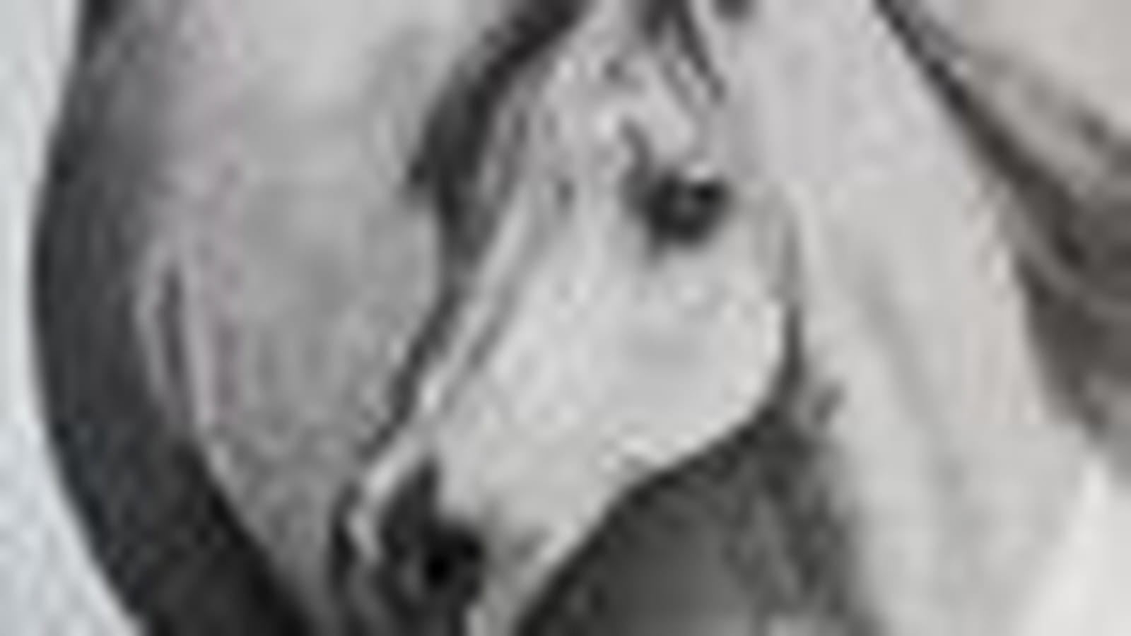 Cheval
