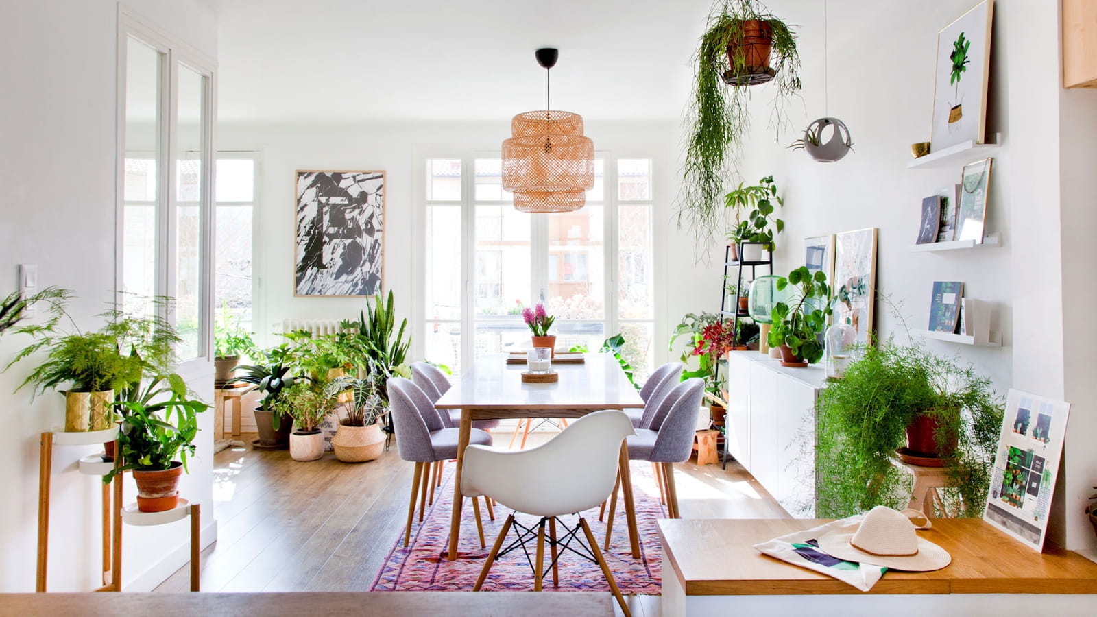 Pour les plantes