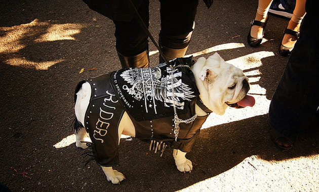 Un biker dans l'âme
