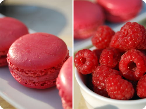 Macarons framboise chocolat blanc (Macaron)