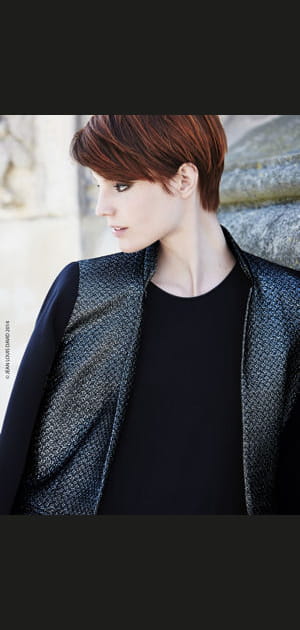 Le cuivr&eacute; de Jean Louis David