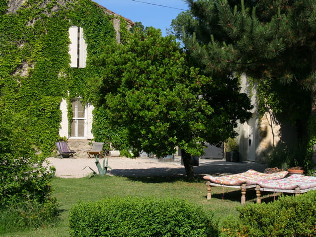 Une végétation abondante