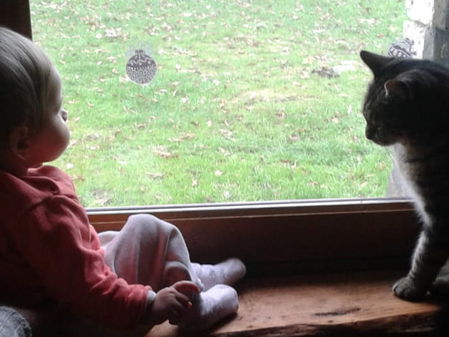 En attendant le Père Noël...