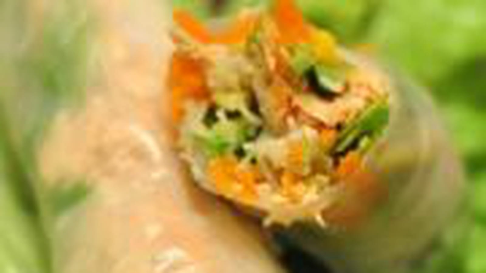 Rouleaux de printemps saumon, avocat, mangue