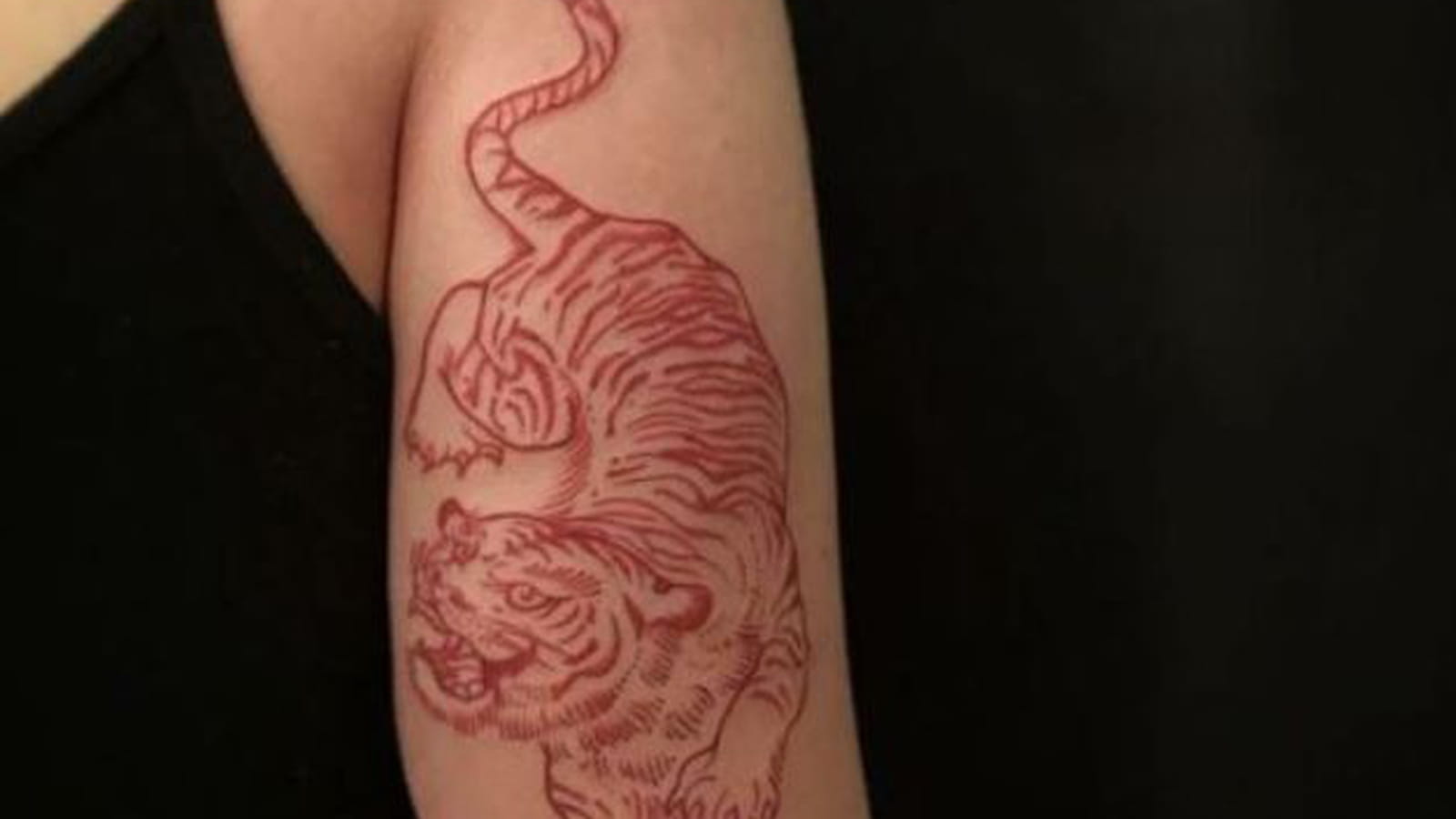 Tigre rouge derrière le bras