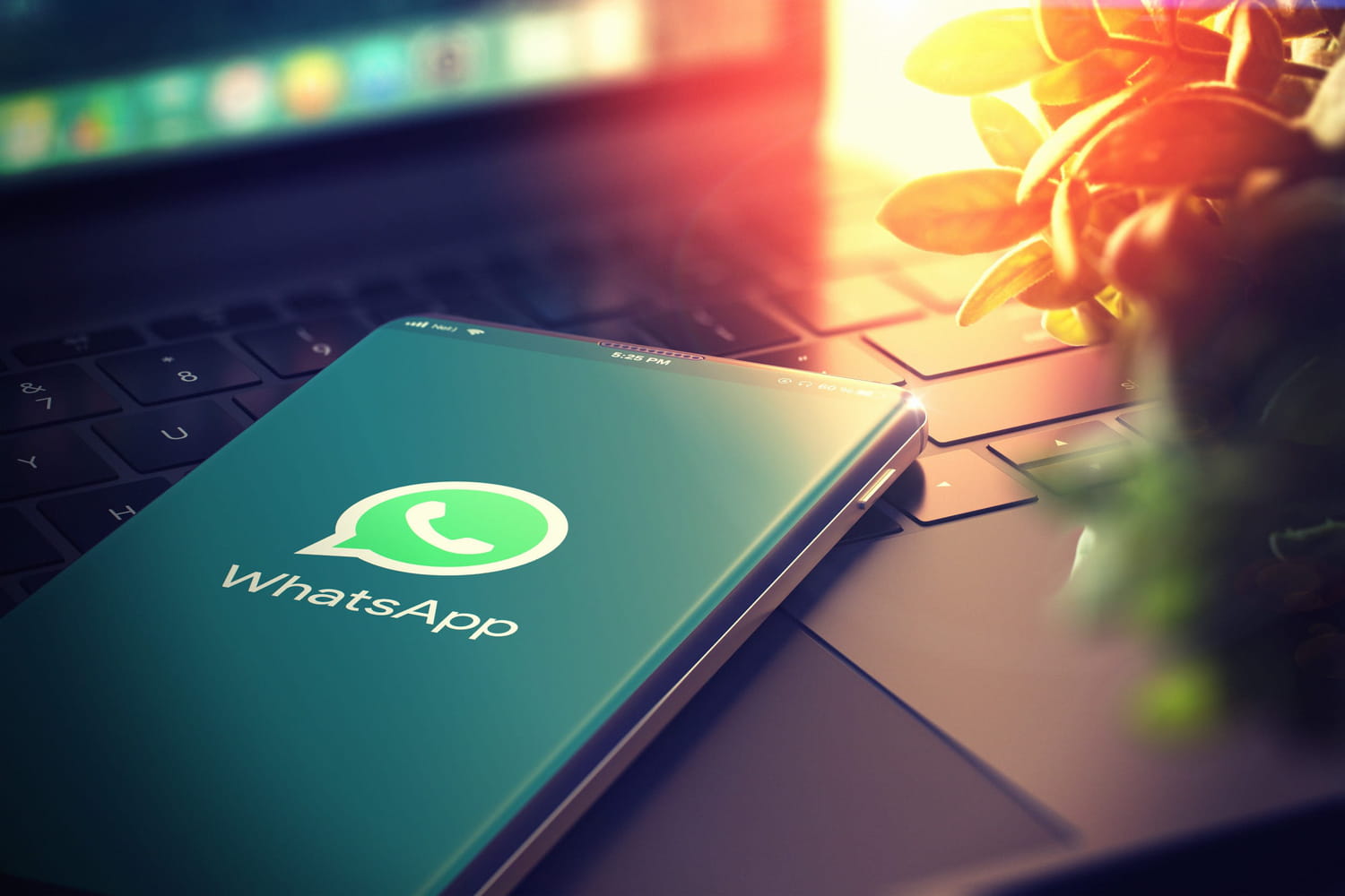 Here’s how to secretly find a contact on WhatsApp (without them noticing)