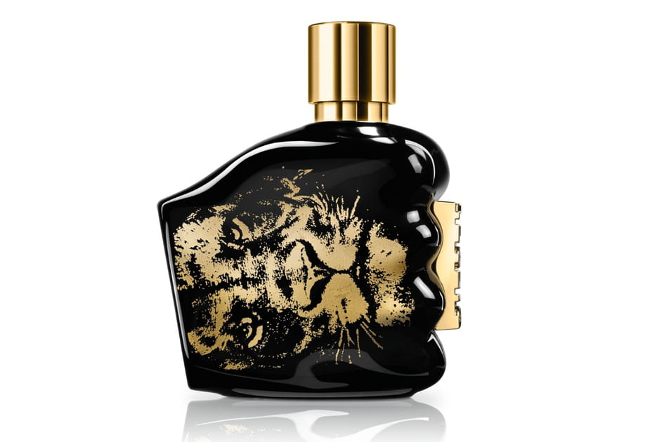 Spirit of the Brave de Diesel