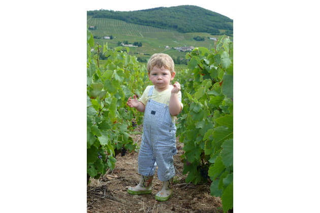 La tête dans les raisins !