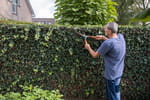 Peu connue, cette règle peut obliger la mairie à payer l'entretien de votre jardin