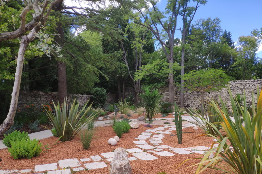 Comment passer à la tendance du jardin sec ?