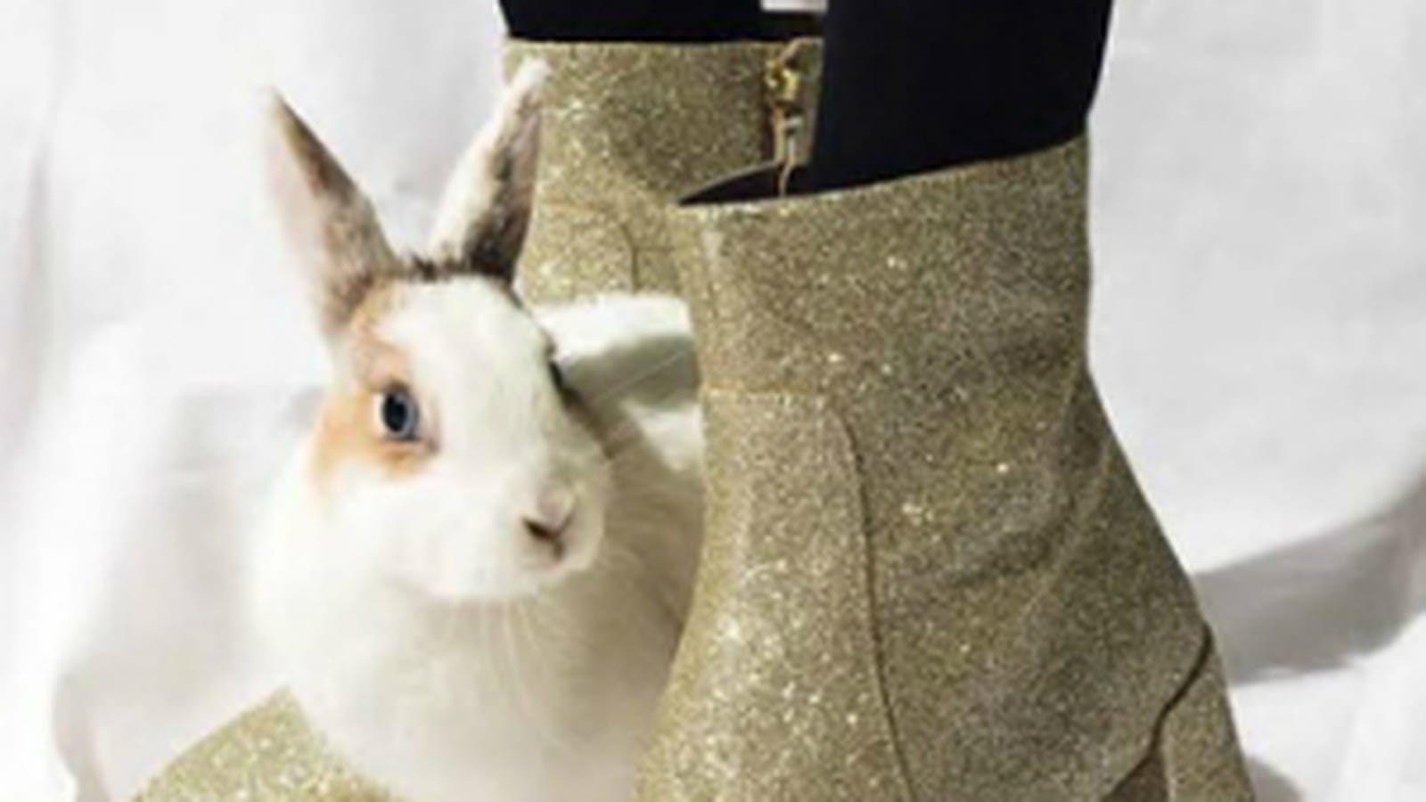 Les bottes et boots de la saison