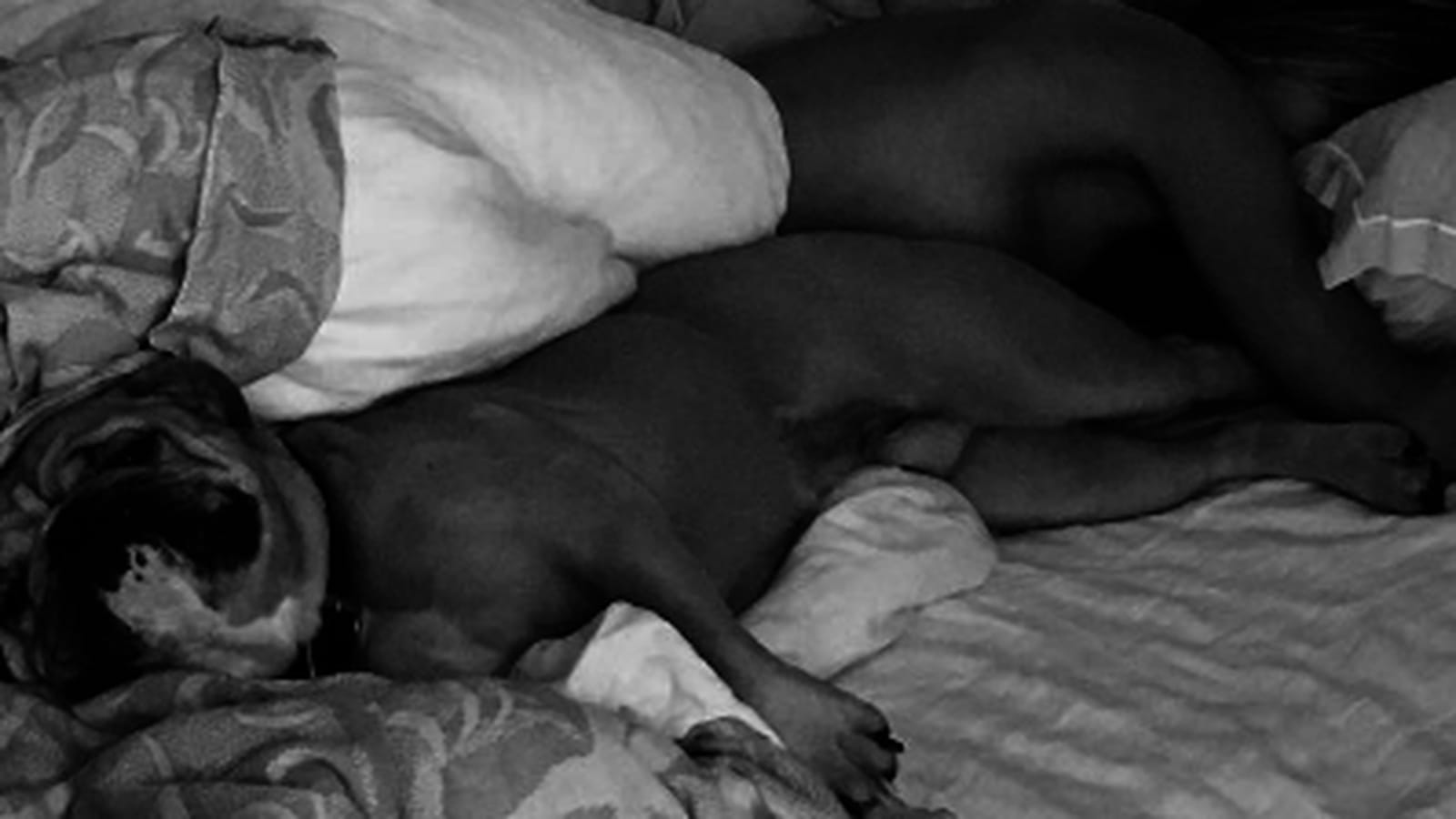 Heidi Klum