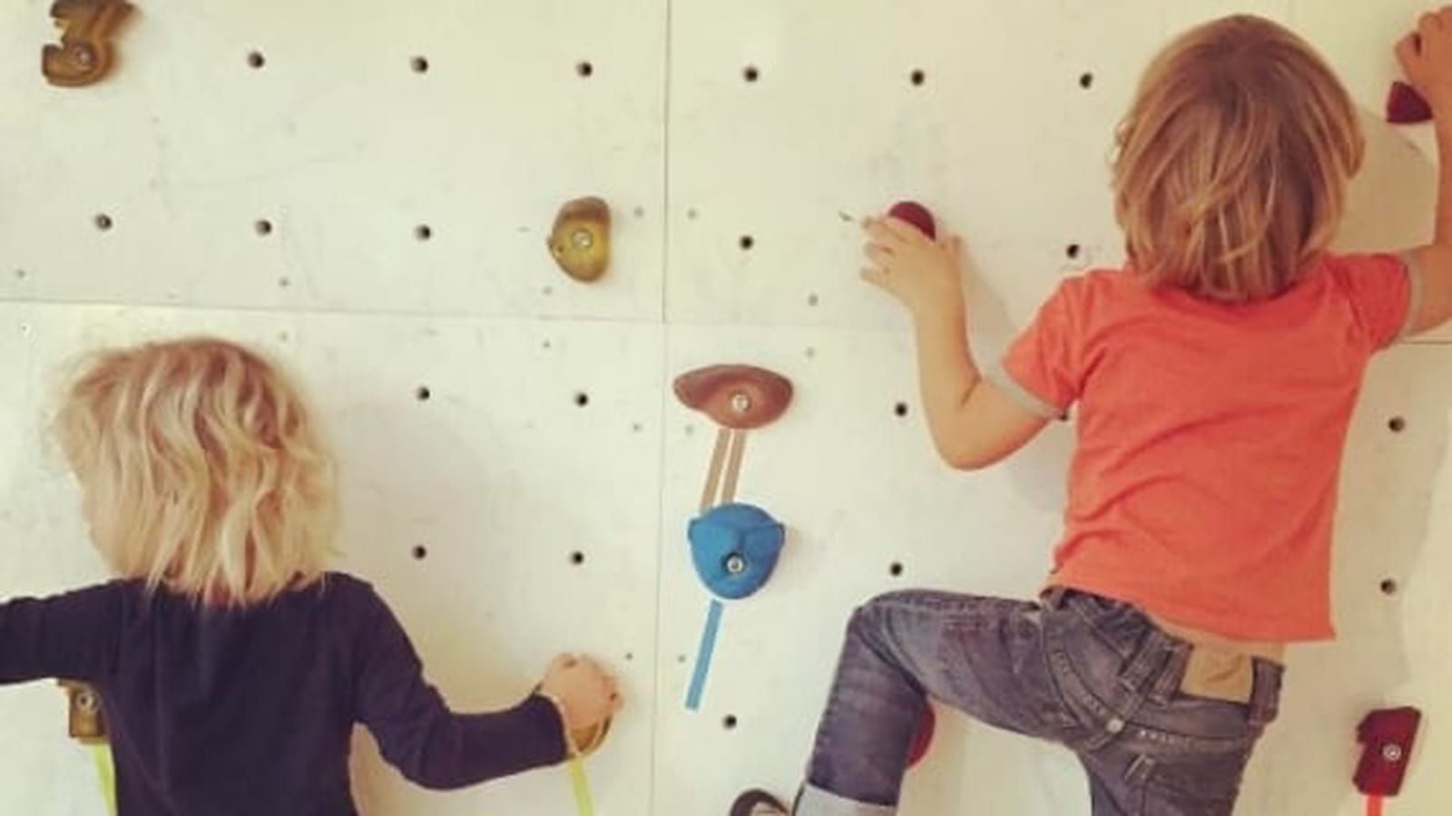 Elodie Gossuin