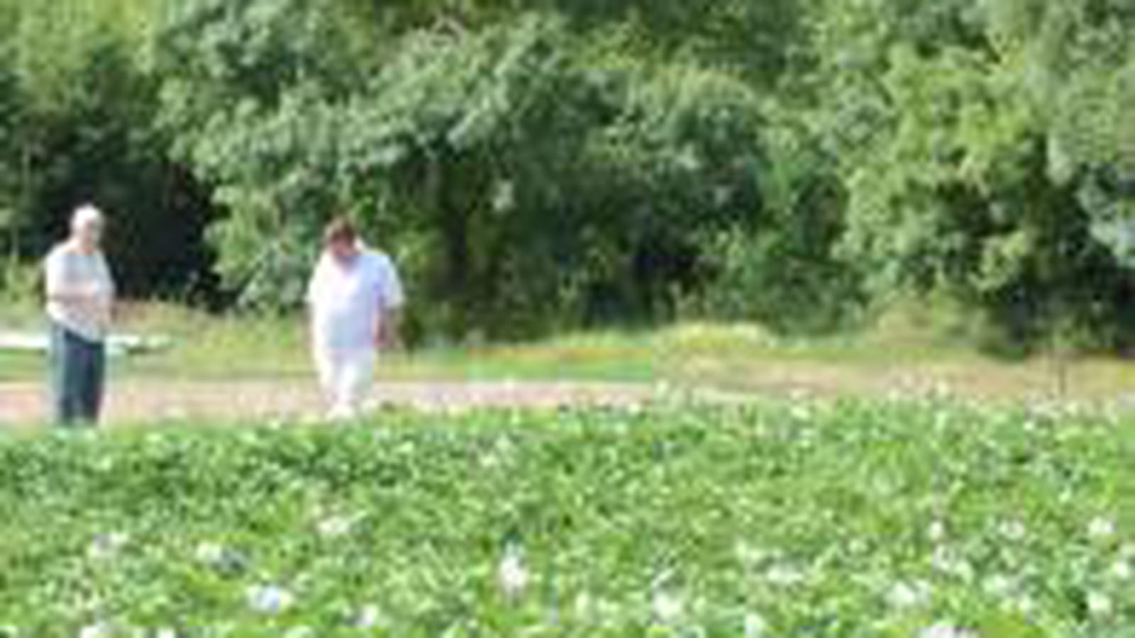 Jardin du Chef