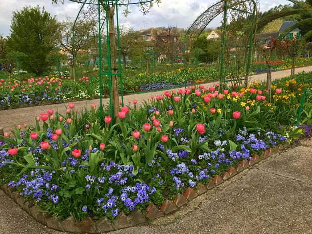 Tulipes et pens&eacute;es font la paire