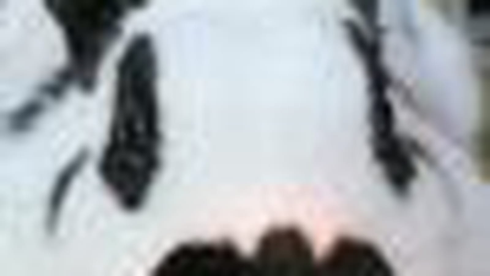 Lapins