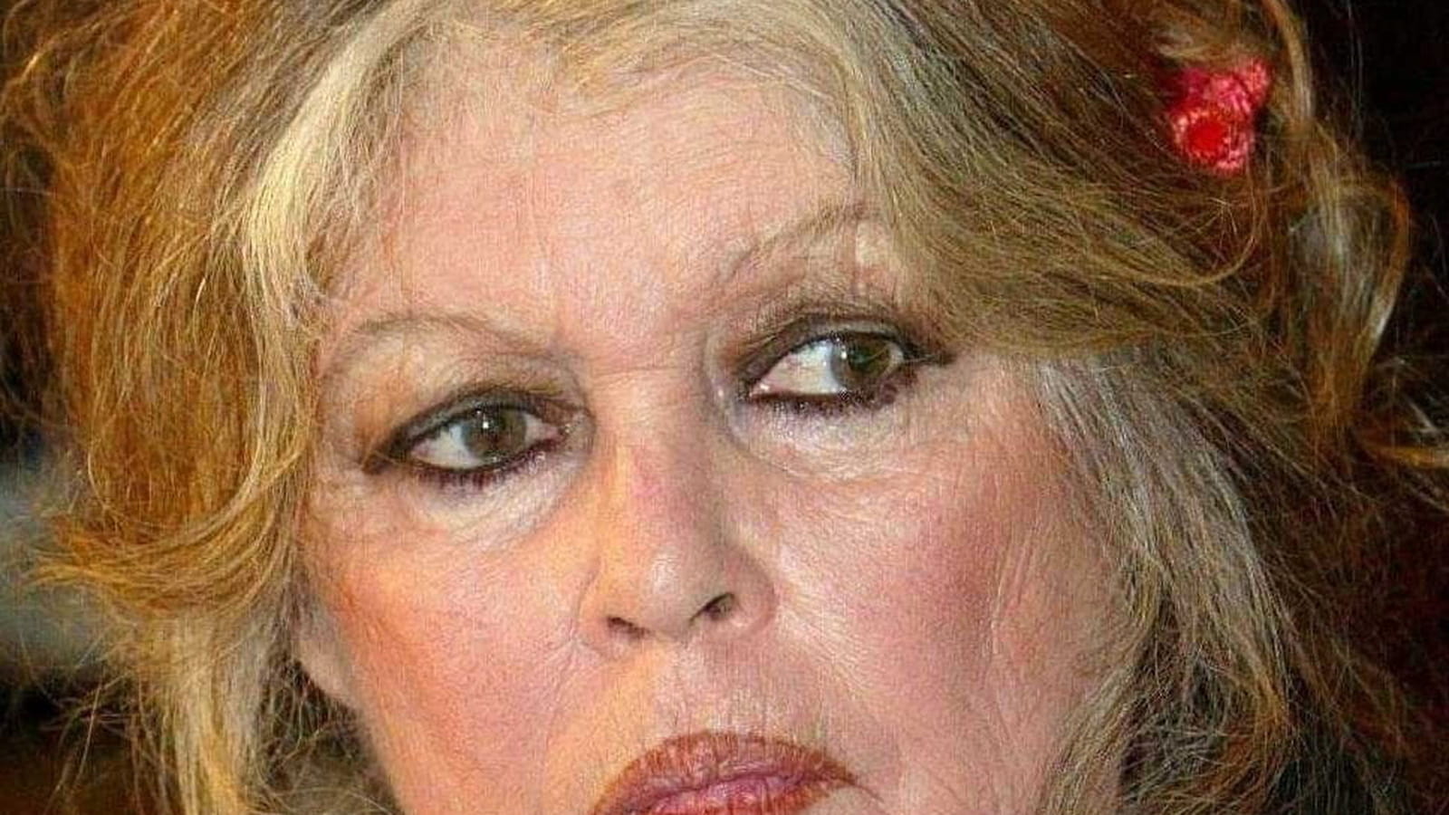 Brigitte Bardot