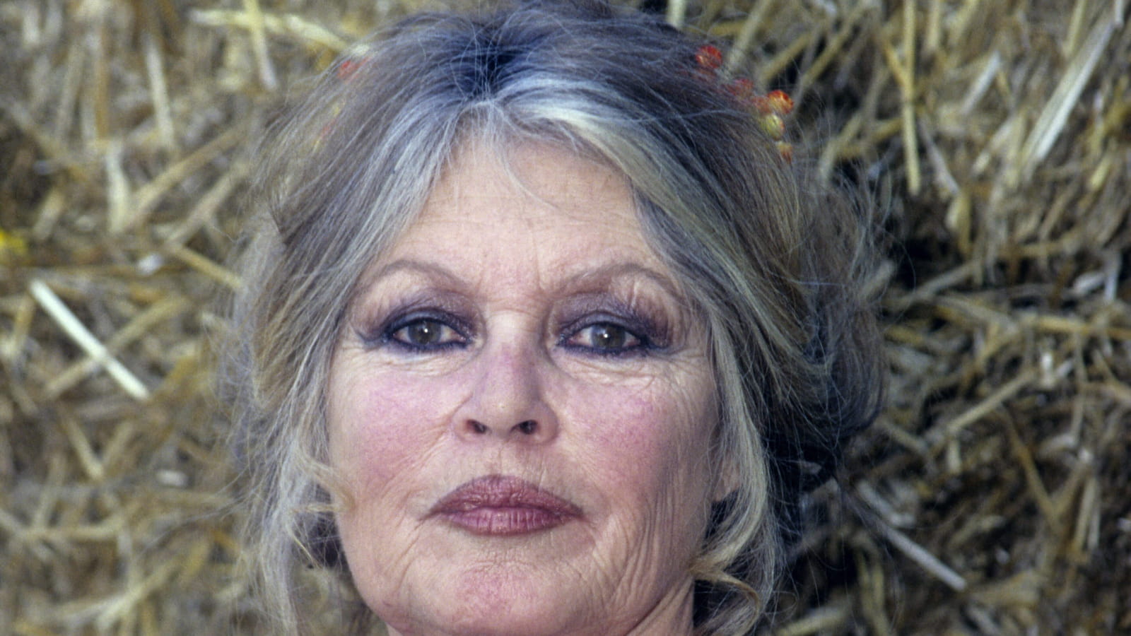 Brigitte Bardot
