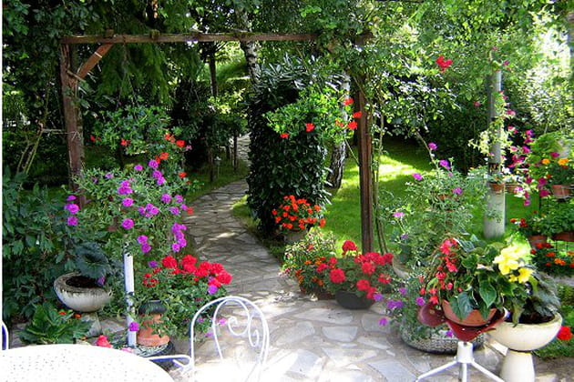 Le jardin color&eacute; de Jocelyne