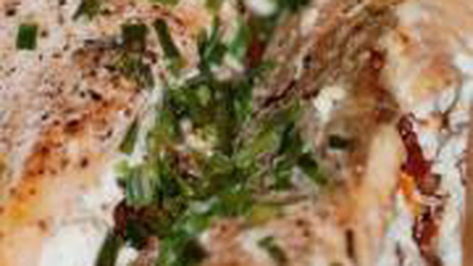 Saumon en papillote