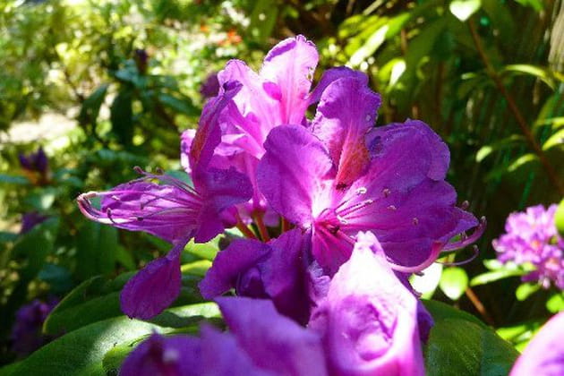 Quel &eacute;clat&nbsp;!