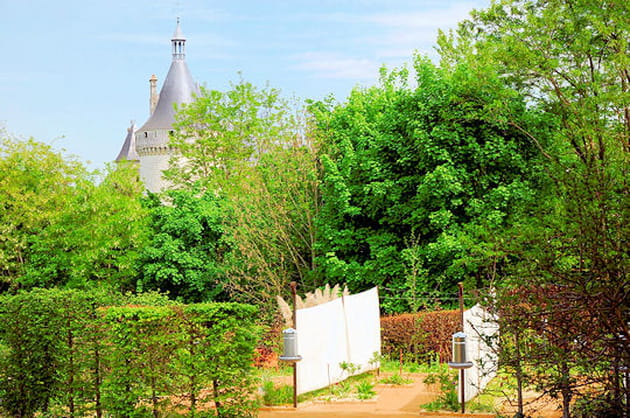 Prenons-en de la graine