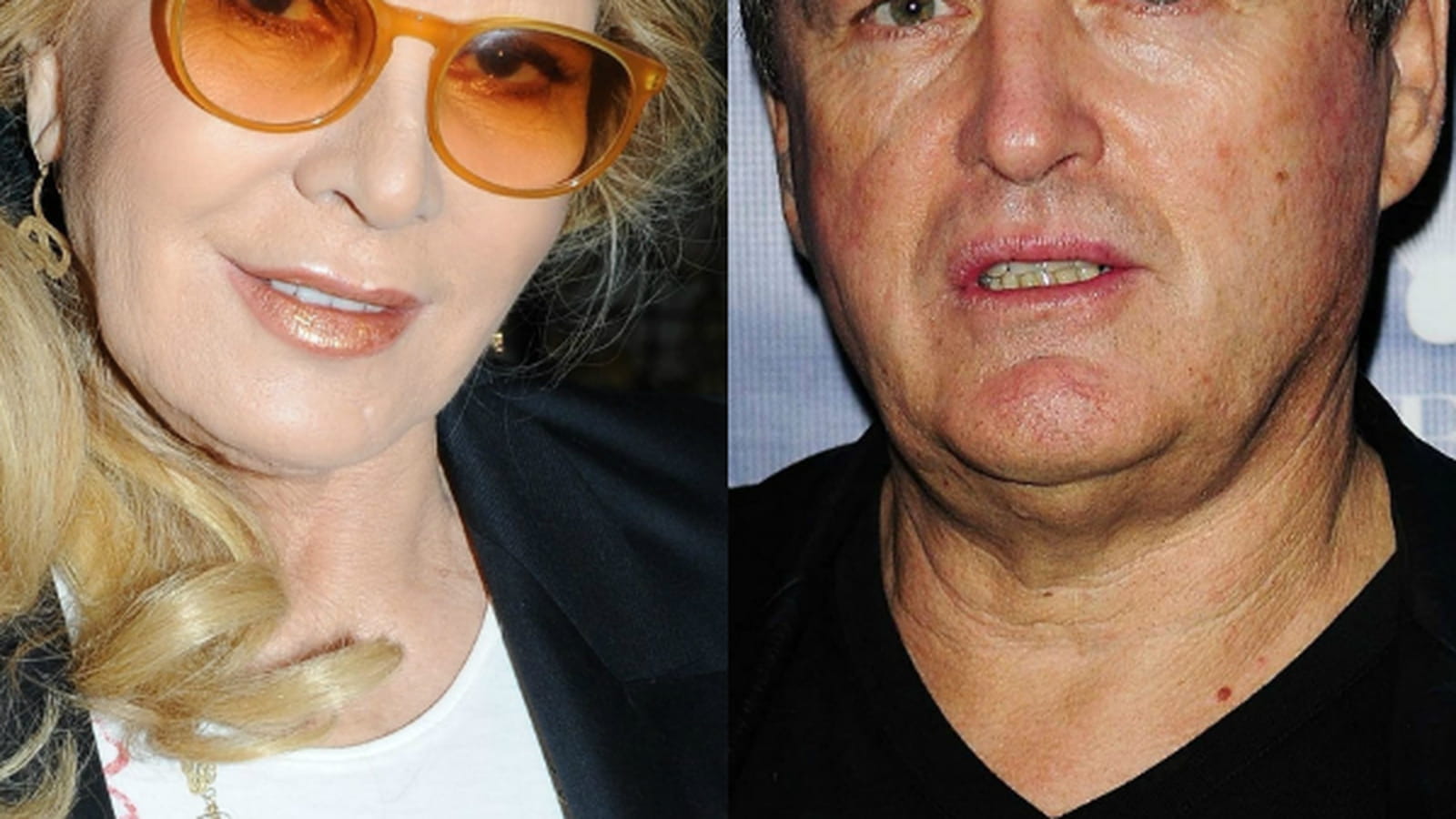 Sylvie Vartan et André Boudou