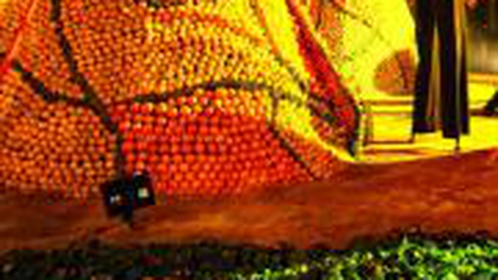2010 : Tentés par un citron ?