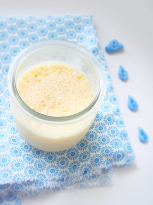 Mousse végétale citron pamplemousse au tofu soyeux
