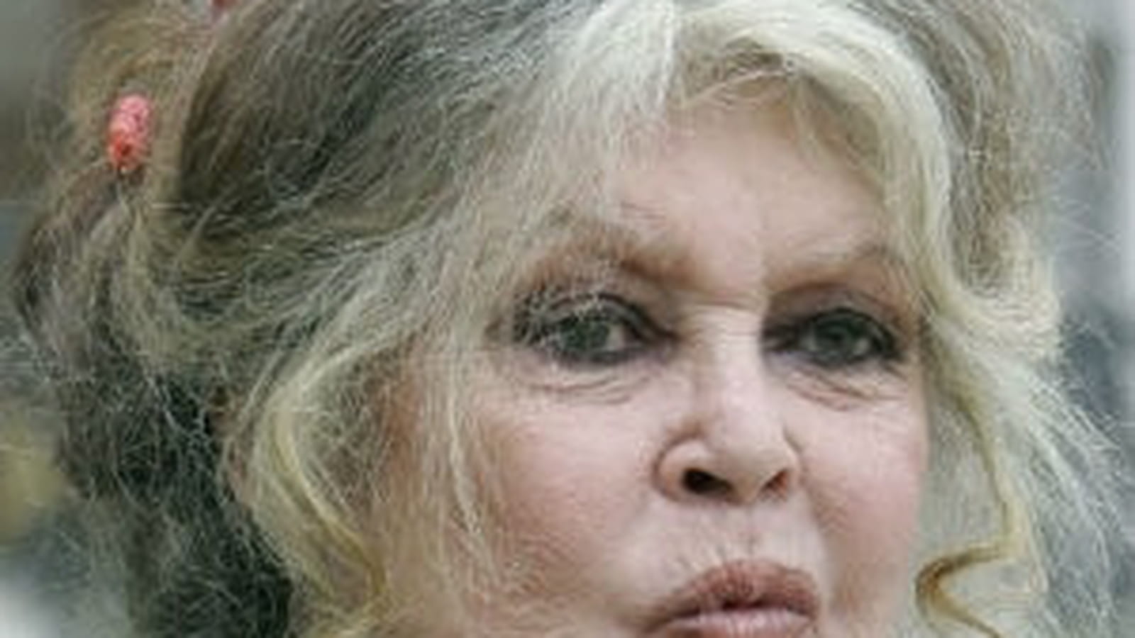 Brigitte Bardot