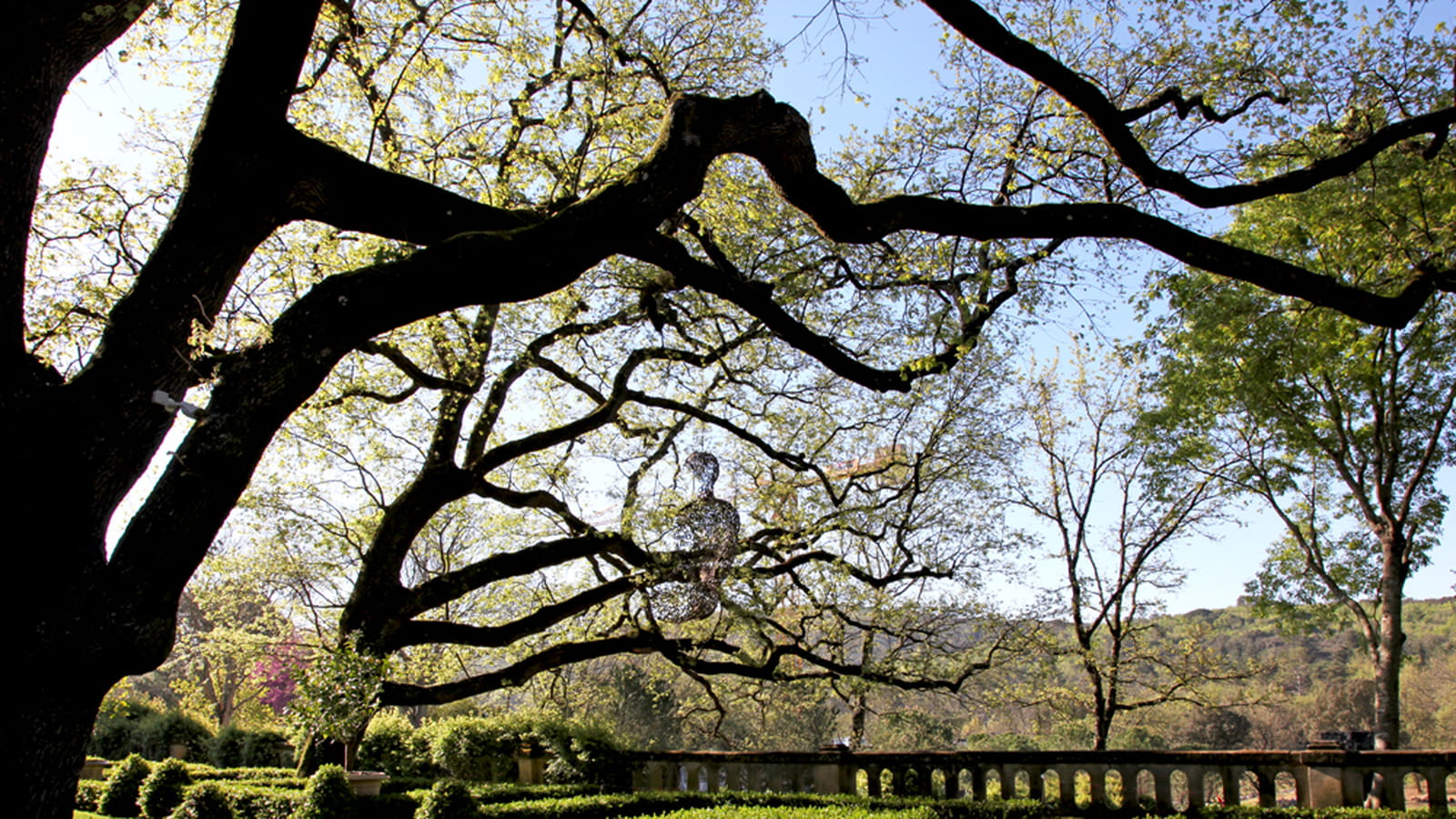 Jardin à la française