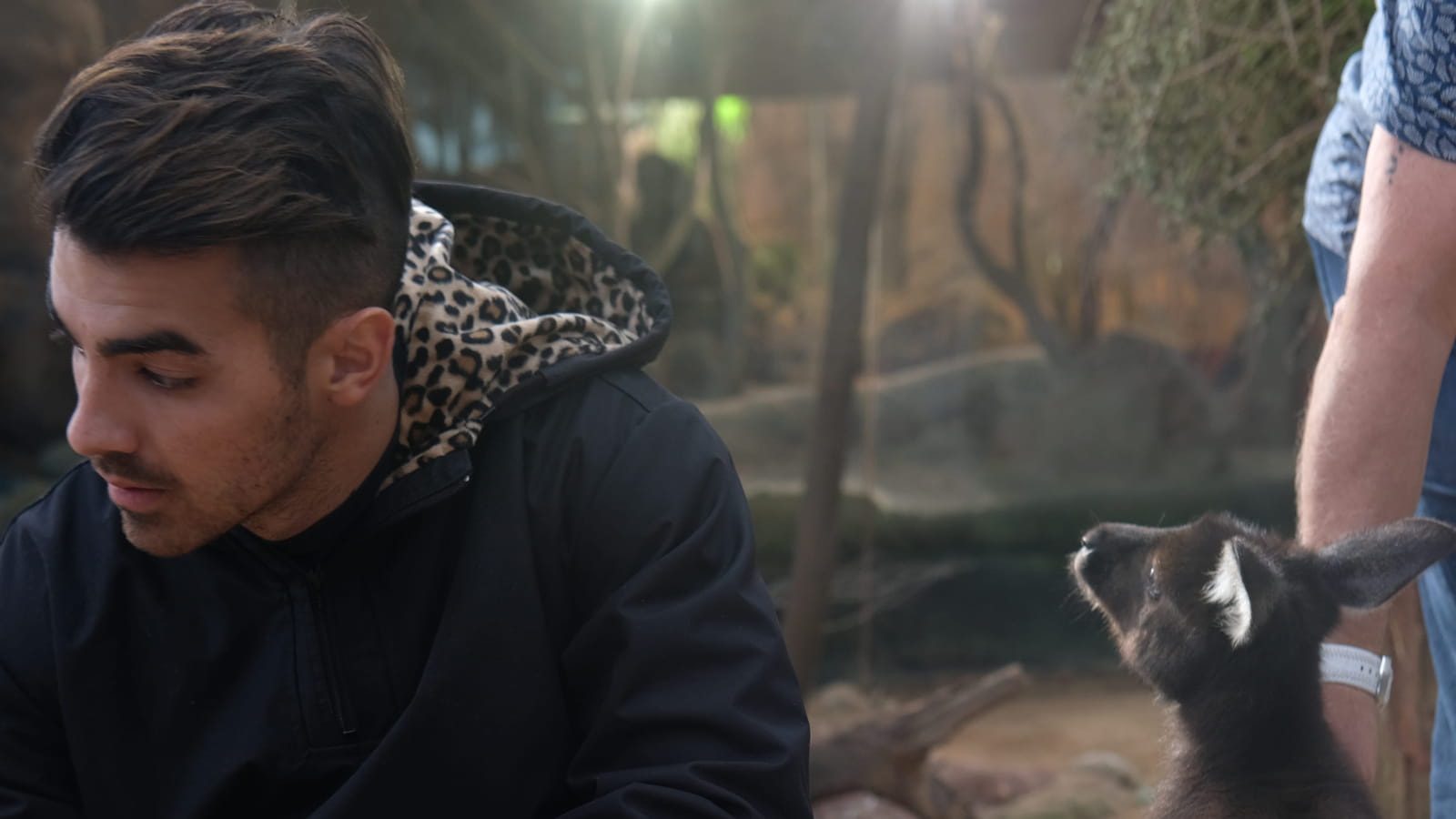 Joe Jonas à Sydney 