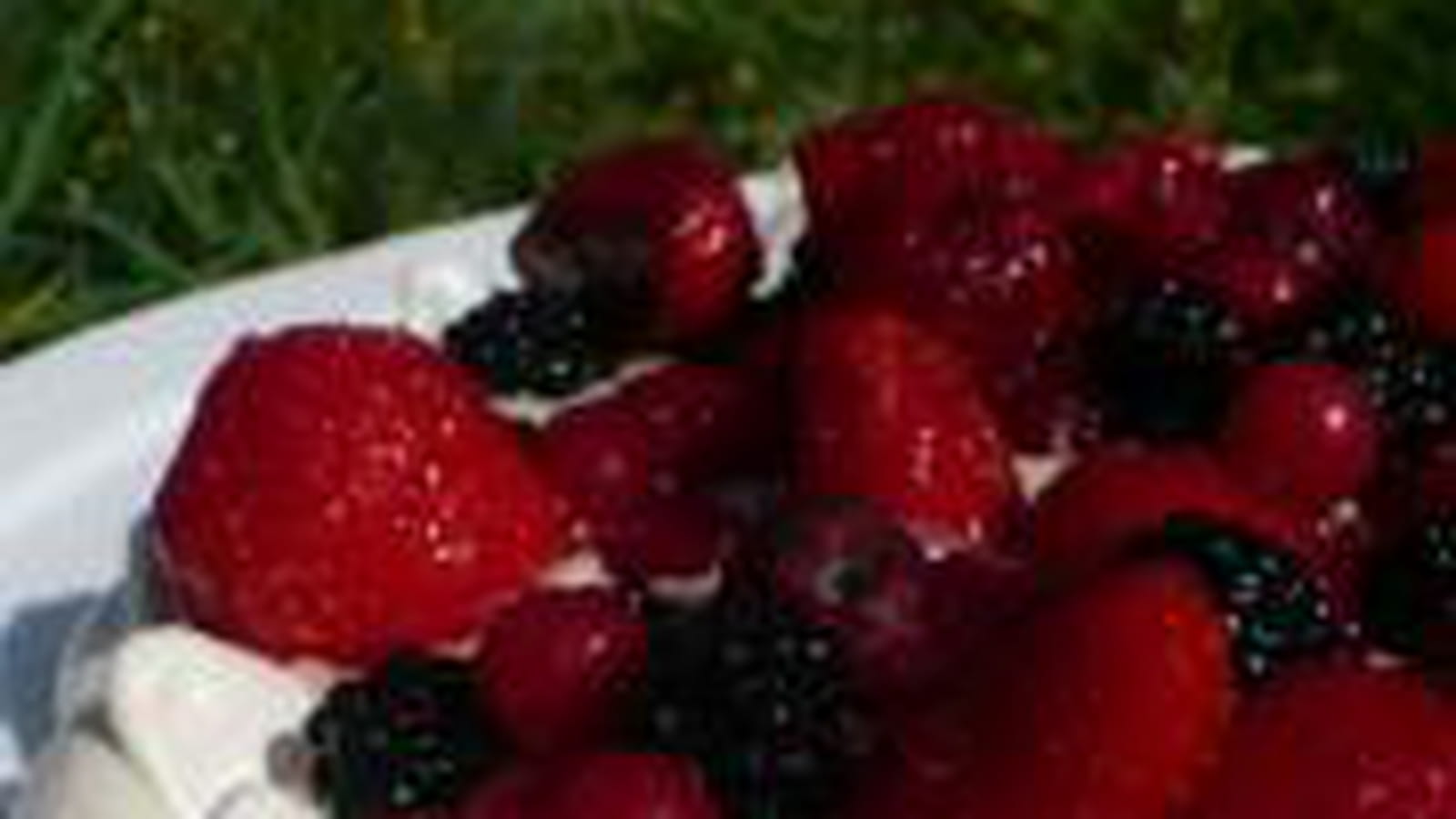Meringue aux fruits rouges et à la crème pâtissière