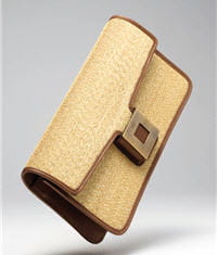 la pochette de roger vivier