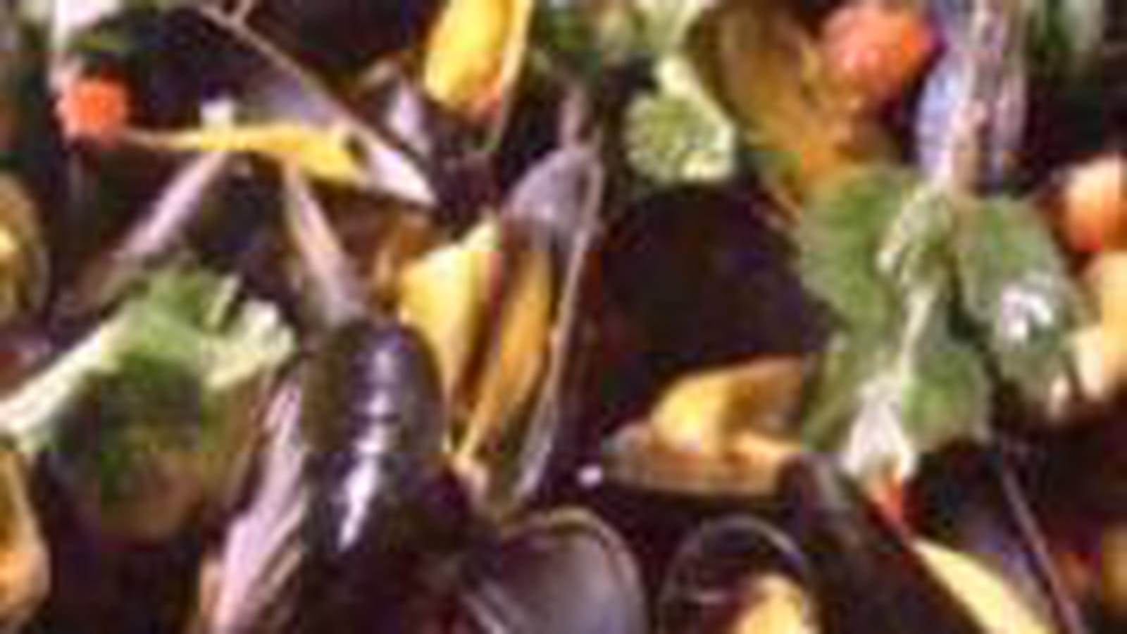 Moule au vin blanc et pastis