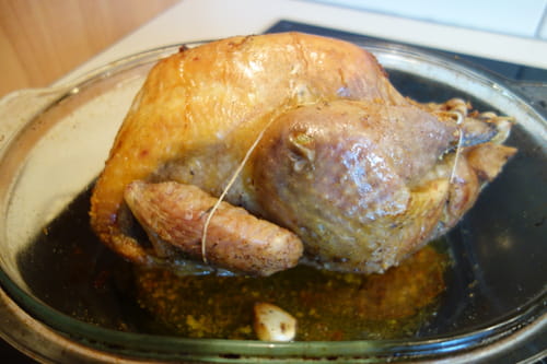 Pintade orientale