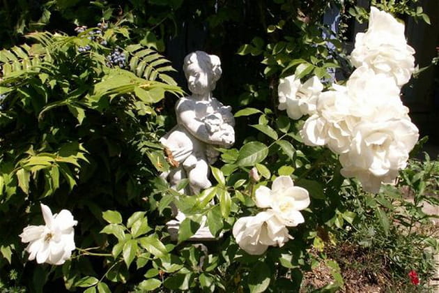 Le plaisir de posséder une roseraie