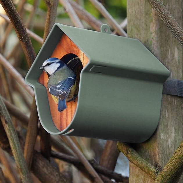 Mangeoire en plastique recyclé par Evie