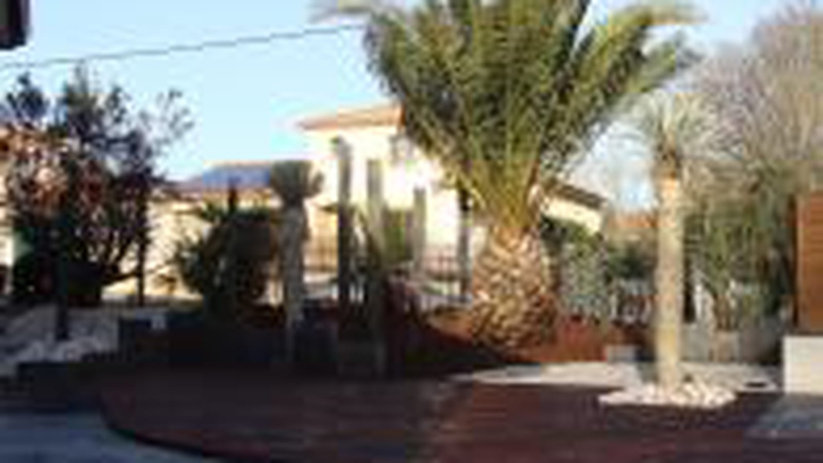 Jardin graphique