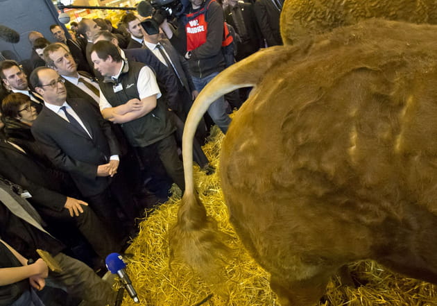 Que peut bien regarder Fran&ccedil;ois Hollande...?