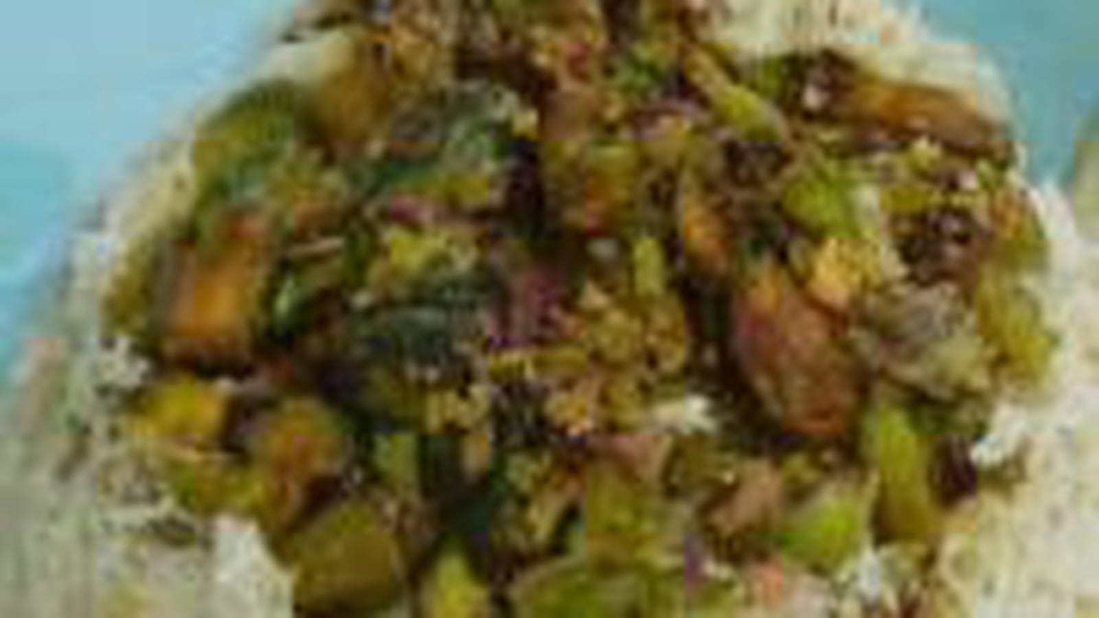 Terrine poisson pistache herbes
