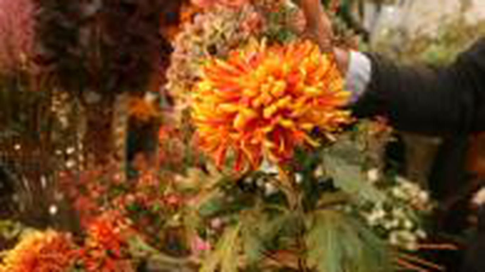 Tourner le bouquet