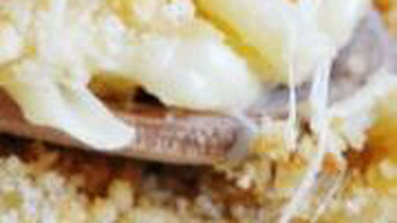 Le gratin de macaronis de Suzanne